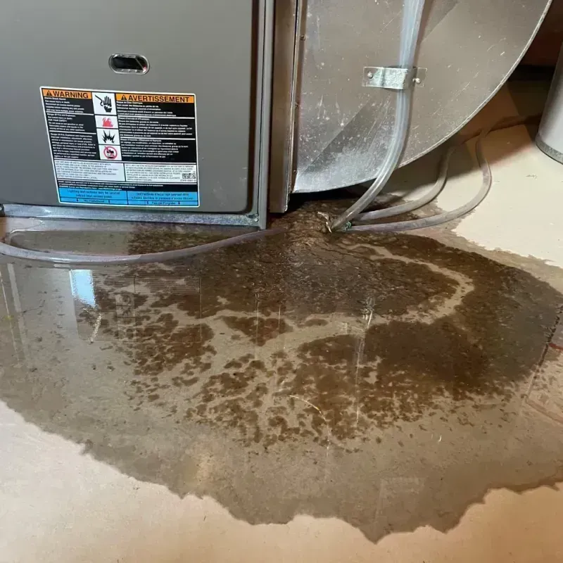 Appliance Leak Cleanup in Glenwood, IL